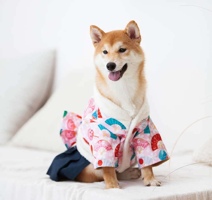 Dog Kimono Outfit