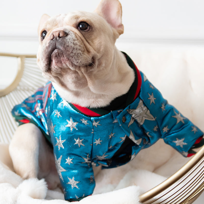 Pawsitively Spectacular Sequin Jacket 