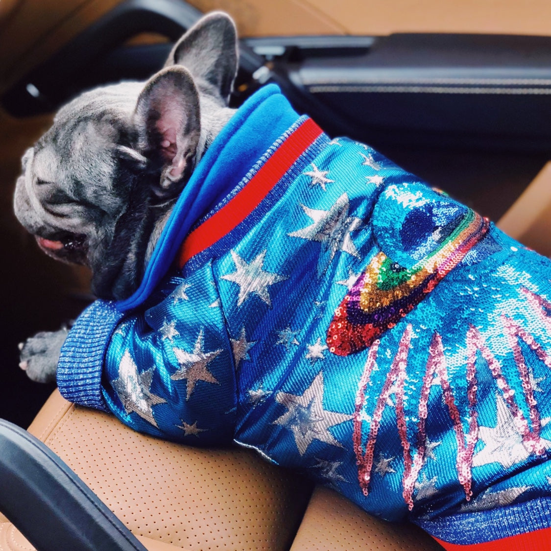 Pawsitively Spectacular Sequin Jacket 