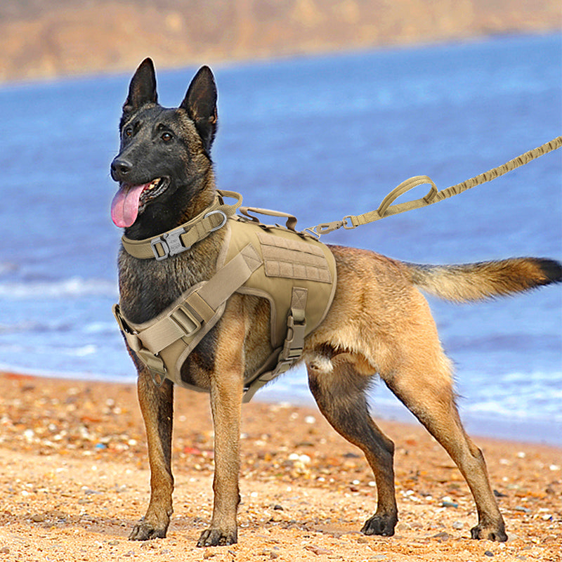 K9 Chest Harness Tactical Vest
