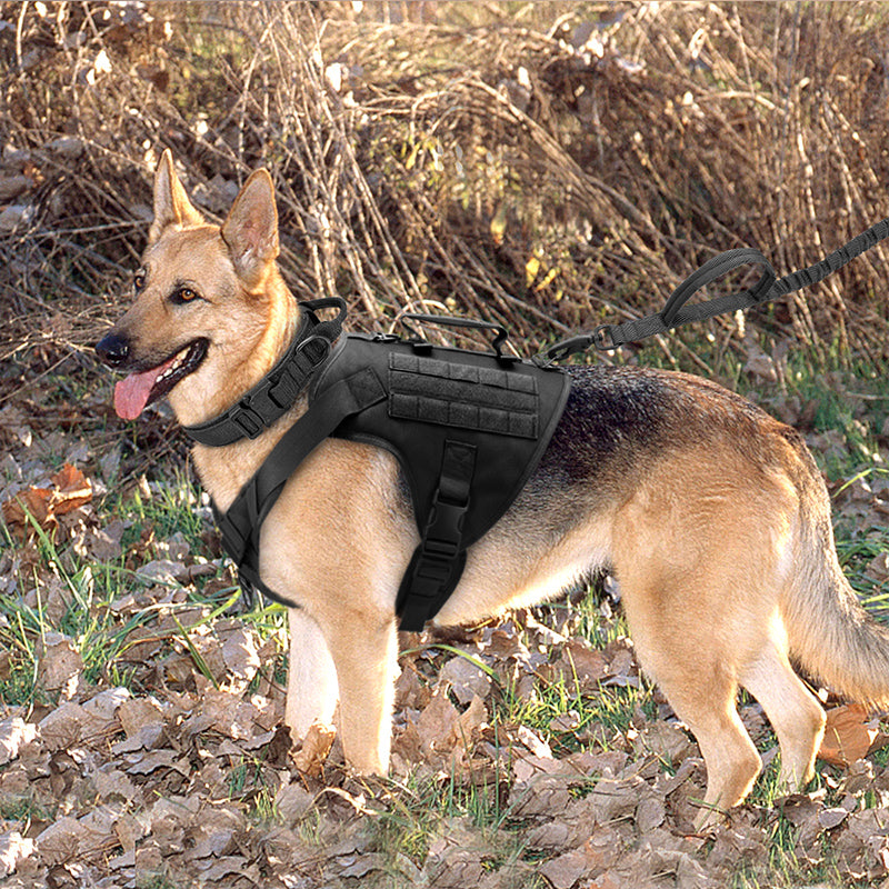 K9 Chest Harness Tactical Vest