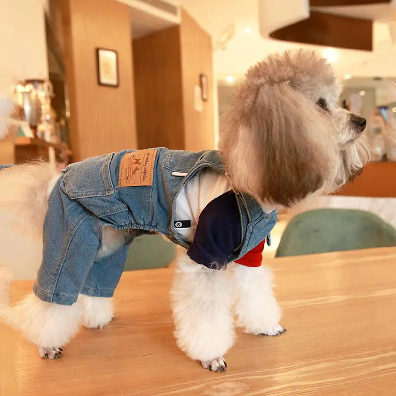 Blue Jean Dog Overalls
