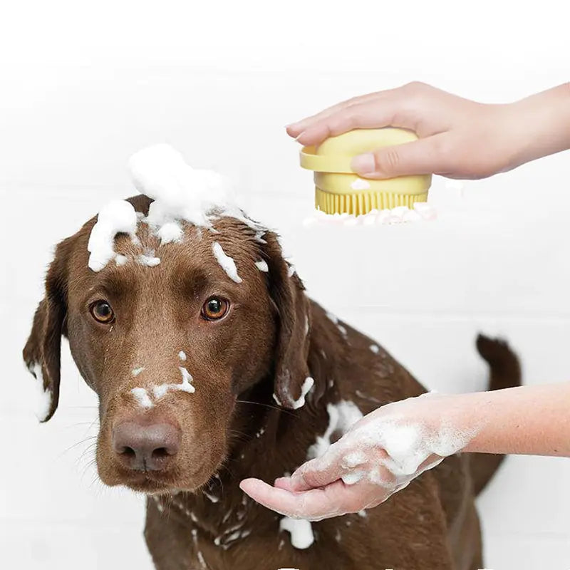 Son Bath Massage Brush
