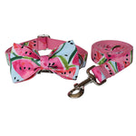 Watermelon Dog Collar & Leash