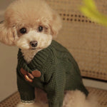 Knitted Dog Sweater