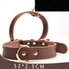 Oil leather collar / S