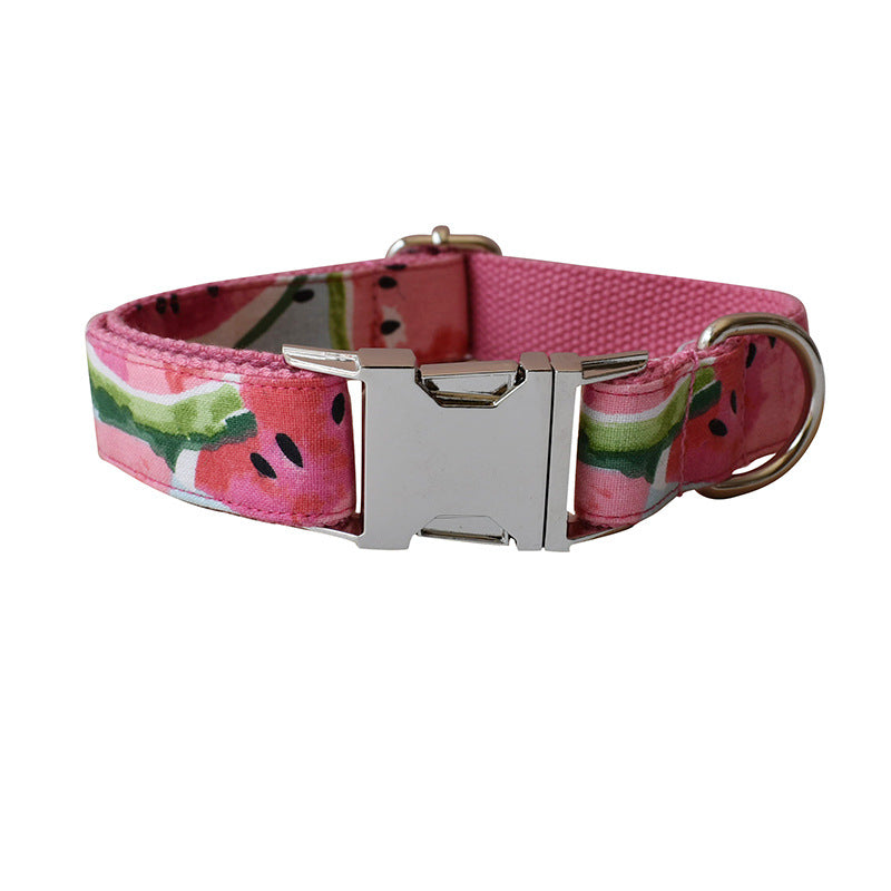 Watermelon Dog Collar & Leash