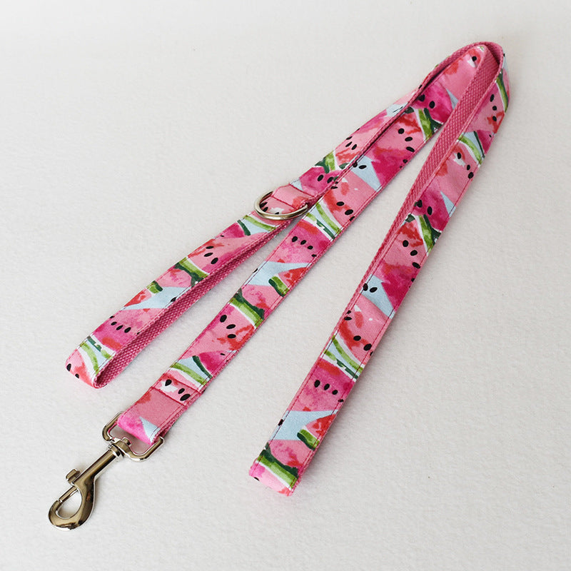 Watermelon Dog Collar & Leash