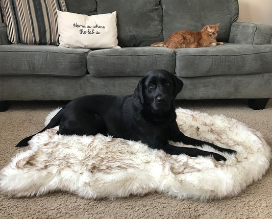 Plush dog mat