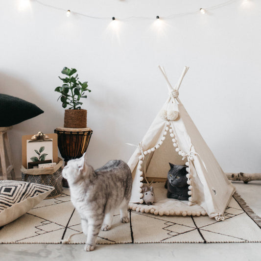 Pet Tent