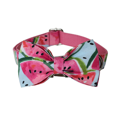 Watermelon Dog Collar & Leash