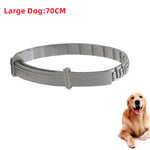 Anti-Flea & Tick Collar