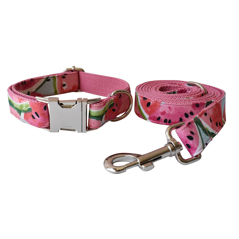 Watermelon Dog Collar & Leash