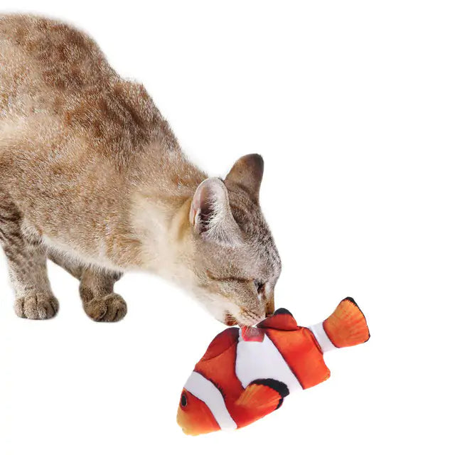 Pet Fish Toy