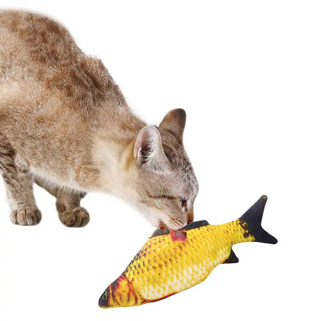 Pet Fish Toy