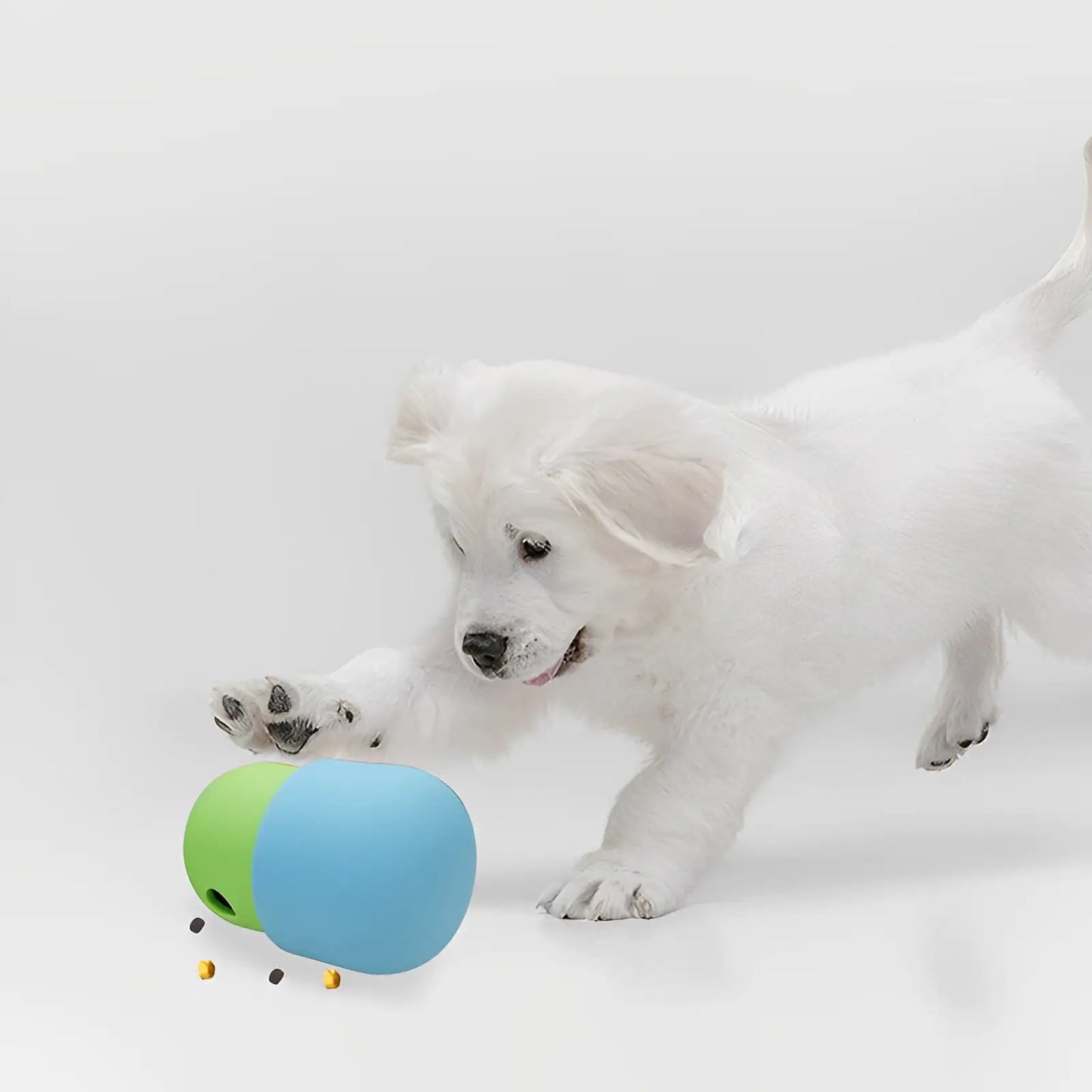 Interactive Pet Feeder