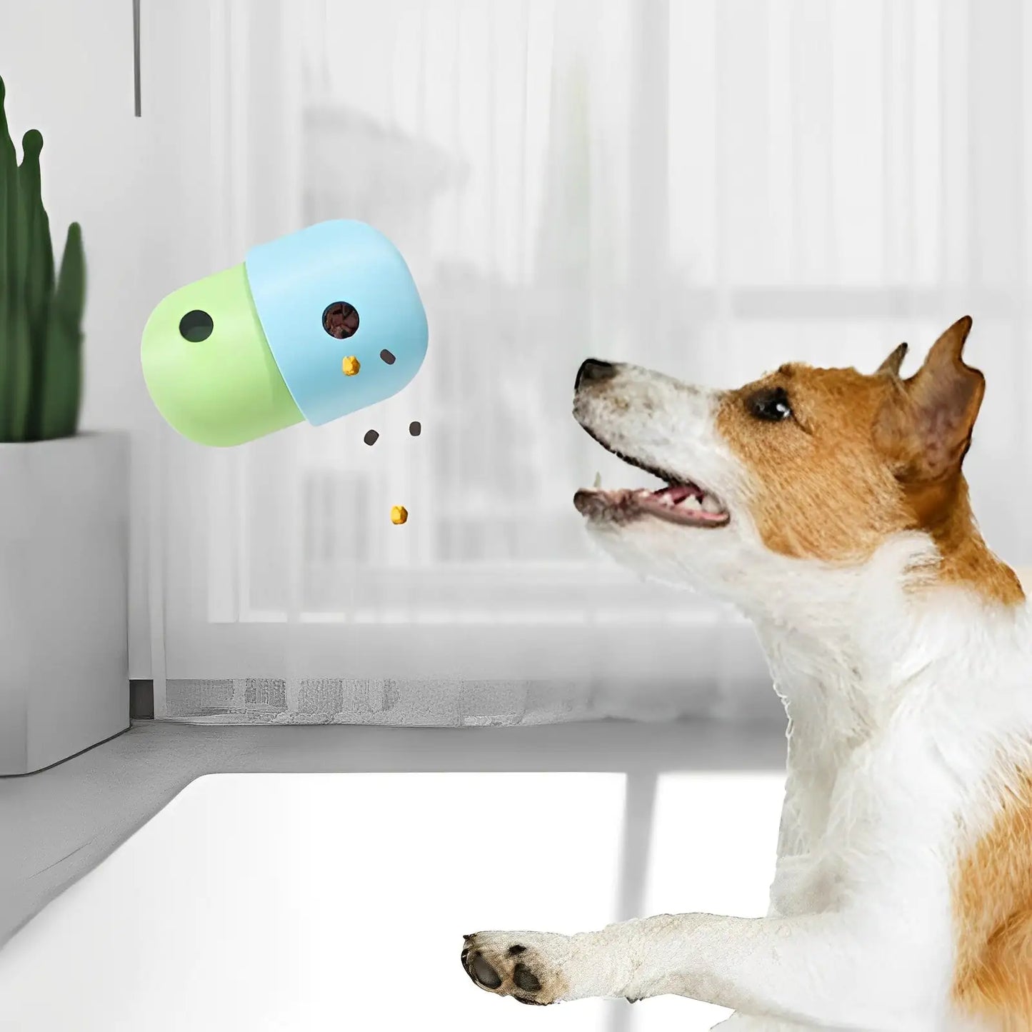 Interactive Pet Feeder