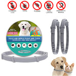 Anti-Flea & Tick Collar