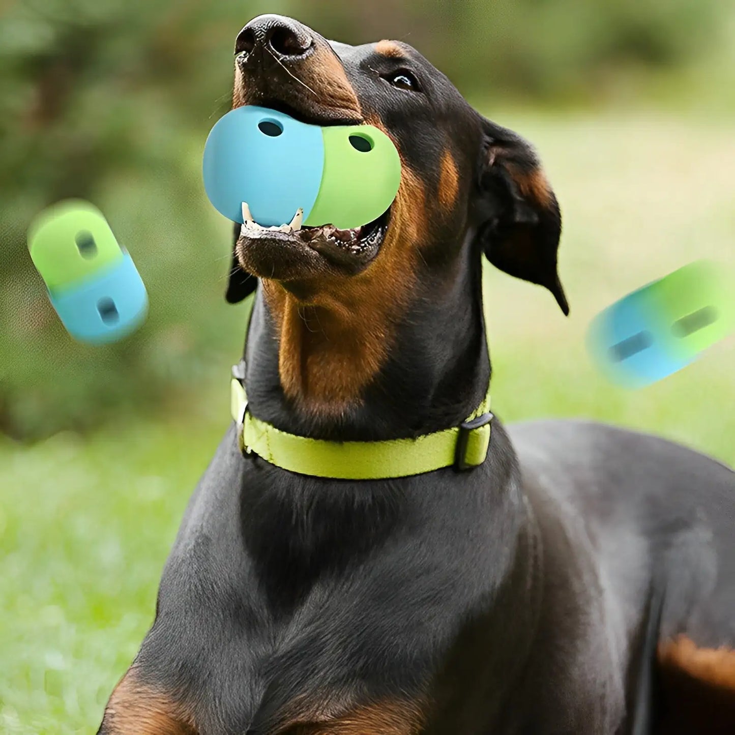 Interactive Pet Feeder