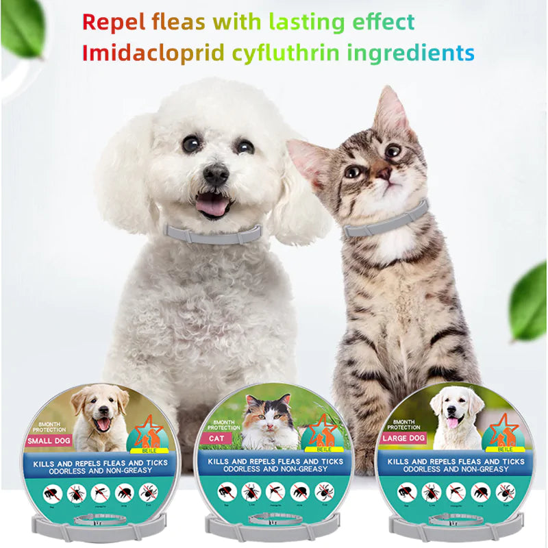 Anti-Flea & Tick Collar