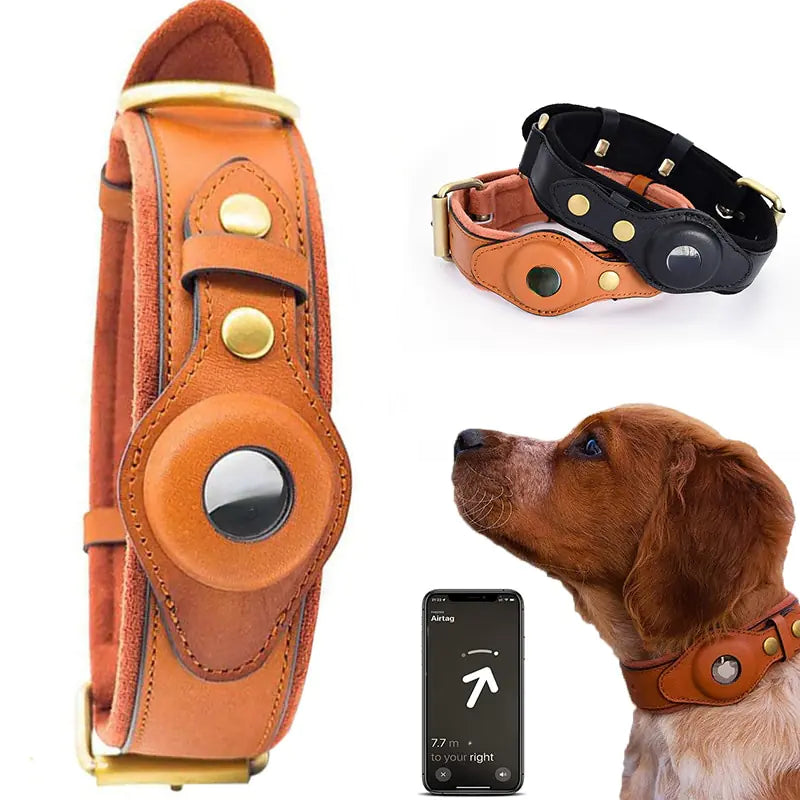 Leather Anti-Lost Dog Collar