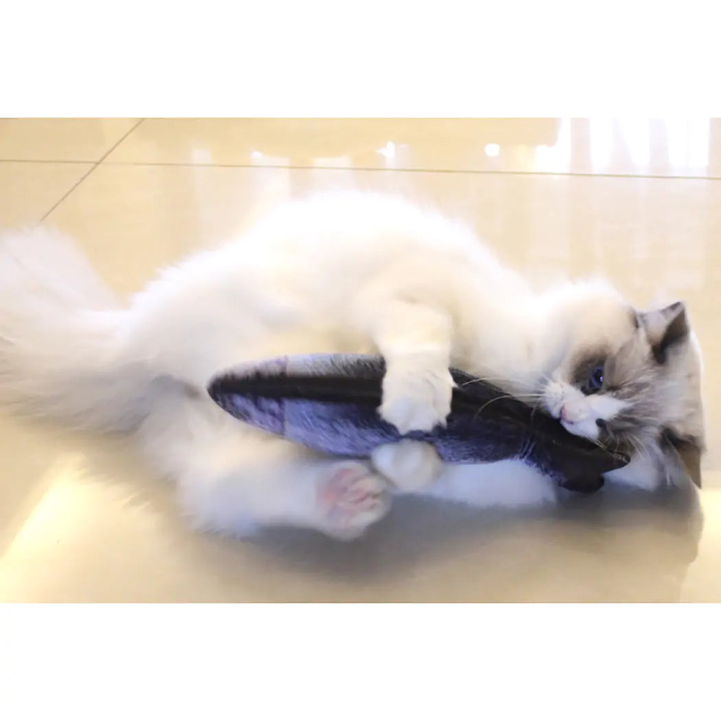 Pet Fish Toy