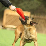 Dog rubber flying disc