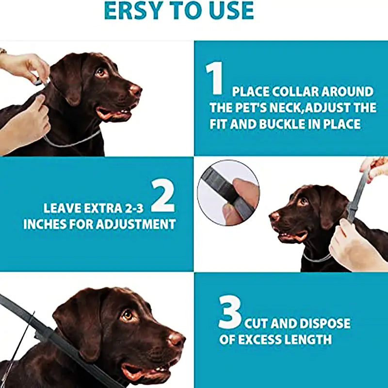 Anti-Flea & Tick Collar